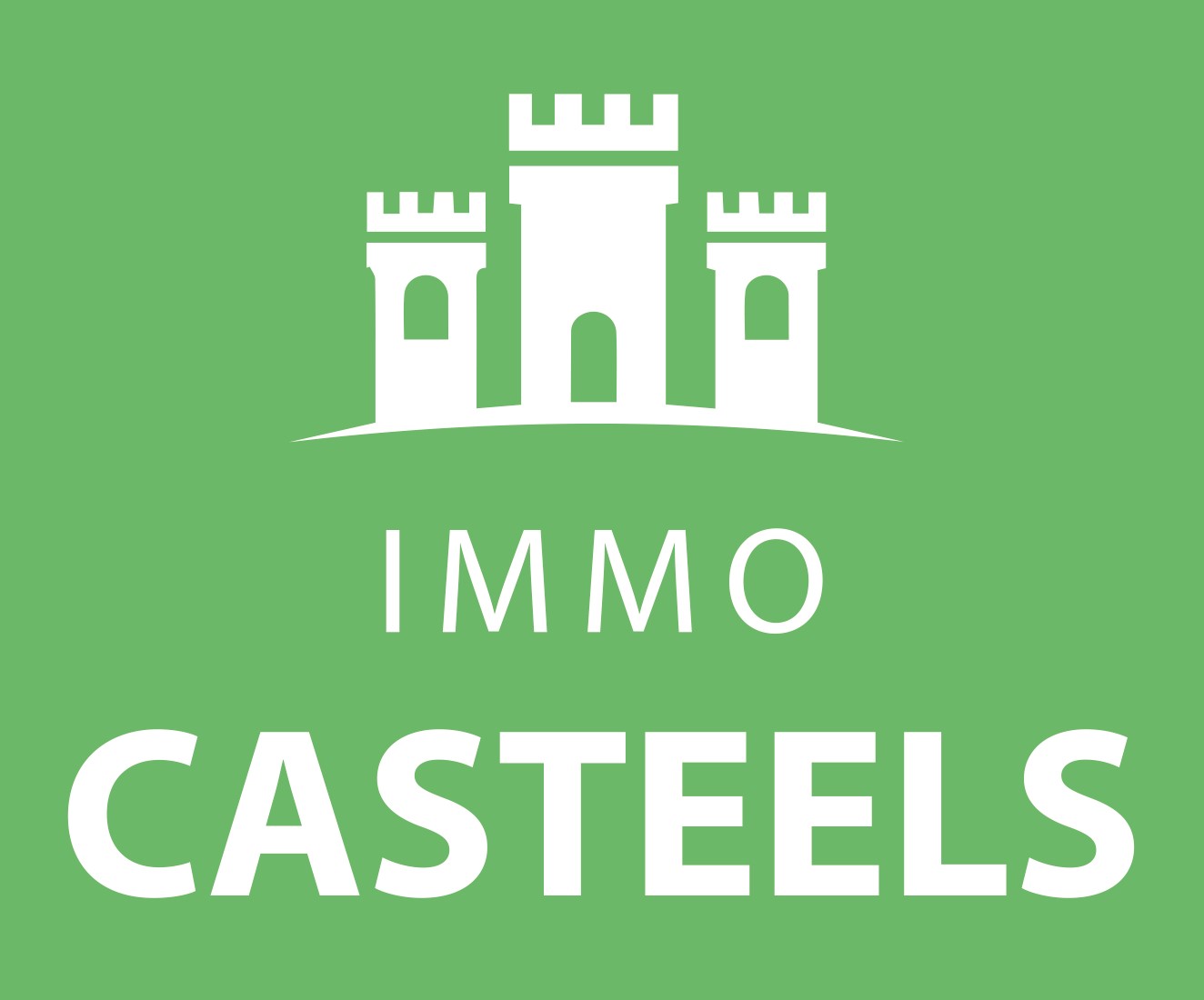 Immo casteels ellezelles