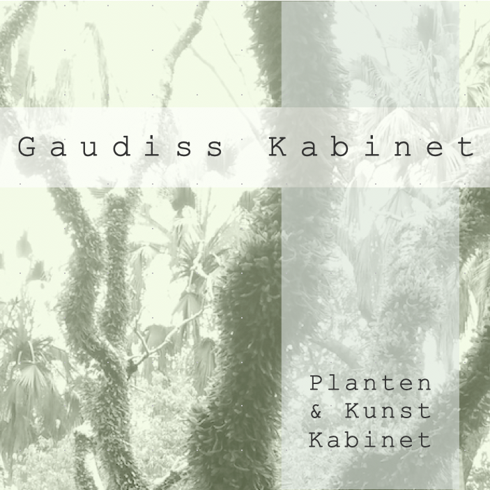 Gaudiss Kabinet Mariakerke